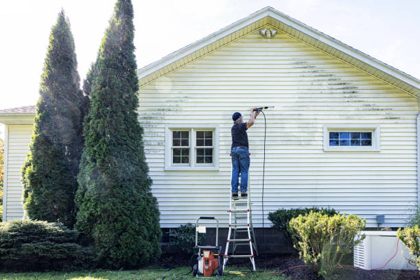 Animal Enclosure Cleaning in Fairport, NY